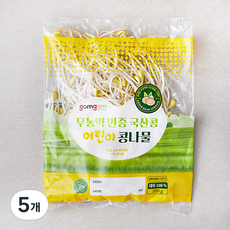 곰곰 무농약 인증 국산콩 어린이 콩나물, 200g, 5개