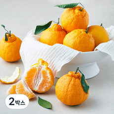 당도선별 한라봉, 2kg(중과, 6~8입), 2박스