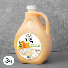 빙그레 따옴 청귤&한라봉, 2300ml, 3개