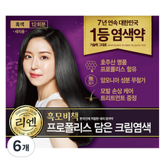 리엔 흑모비책 프로폴리스 담은 크림 염색제 새치용 12회분, 흑색, 6개