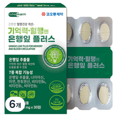 코오롱제약 기억력 혈행엔 은행잎 플러스, 30정, 6개