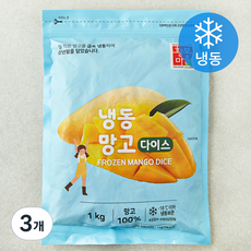 황보마을 베트남산 망고다이스 (냉동), 3개, 1kg