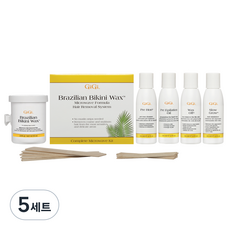 [쿠팡수입] 지지 브라질리언 비키니 왁스 마이크로 키트 세트, 450g, 5세트