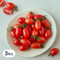 GAP 인증 세도농협 대추 방울 토마토, 500g, 3박스