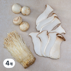 패밀리 구이용 모둠버섯, 400g, 4개