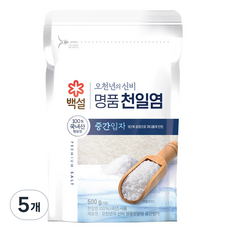 오천년의 신비 중간입자 천일염, 500g, 5개