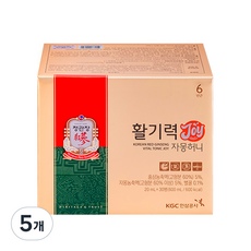 정관장 활기력 JOY 600ml 5개