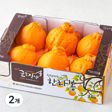 제주 위미농협 당도선별 한라봉, 2kg(대과, 4~6입), 2개