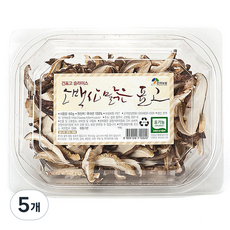 현재농원 건표고버섯 슬라이스, 60g, 5개