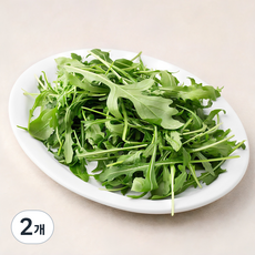 국내산 와일드 루꼴라, 100g, 2개 100g, 2개
