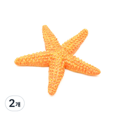 276829 불가사리 Starfish