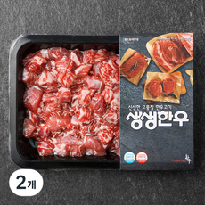 생생한우 1등급 양지 세절 국거리용 (냉장), 300g, 2개