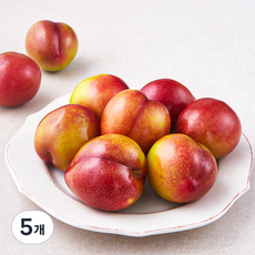 효성팜 새콤달콤 대석 왕자두, 800g, 5개