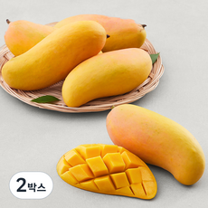 이웃마을 태국 마하차녹 망고, 2kg(6~7입), 2박스