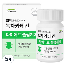 퍼팩 풀무원 퍼팩 녹차카테킨 다이어트슬림케어 24g, 5개, 30정