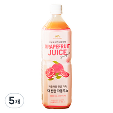 네이쳐브릿지 지중해풍 햇살 가득 자몽주스, 5개, 1L