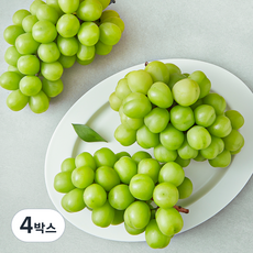 산들이랑 비파괴당도선별 샤인머스캣 (3-4수), 2kg, 4박스