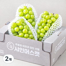 한반도 비파괴 당도선별 샤인머스켓, 2kg, 2개