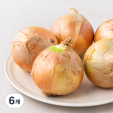 국내산 양파, 1kg, 6개