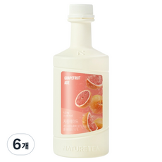 네이쳐티 자몽에이드 베이스, 1.2kg, 6개