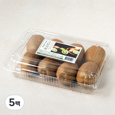 신세계푸드 제주 곶자왈 그린 키위, 900g, 5팩