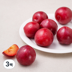 하우스 자두, 500g, 3팩