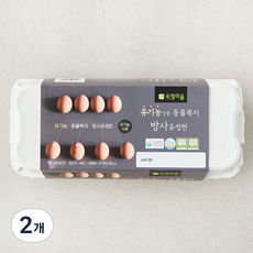 유정마을 유기농 인증 방사 유정란 1번란 520g, 10구, 2개