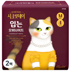시크릿데이입는오버나이트 TOP01