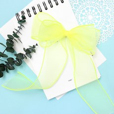 비단길 디오나 시스루 빅리본 집게핀