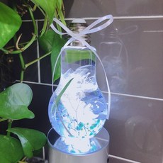 永生花植物標本室燈泡+支架套組, 藍色