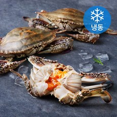 피시원 국내산 알 봄암꽃게 (냉동), 1kg(3미), 1개
