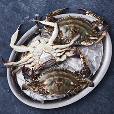어부심 산지직송 서해안 제철 알배기 암꽃게 소 (냉장), 500g, 1개