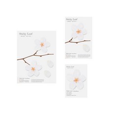 어프리 스티키리프 투명 벚꽃 반투명 점착메모지 3종 세트, 화이트, 1세트