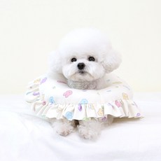 이츠독 반려동물 일체형 프릴 넥카라, 젤리바니, 1개
