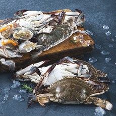 바다미식회 신진도 산지직송 산채로 포장한 가을 햇꽃게 (냉장), 3kg(9~13미), 1개