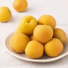 새벽경매 이화원 살구, 2팩, 500g