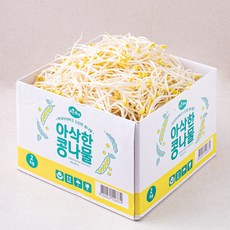 맑은물에 아삭한 콩나물, 2kg, 1개 - 중고콩나물통