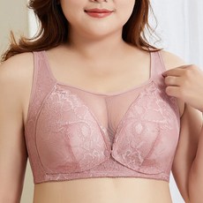 프로비아100f중형