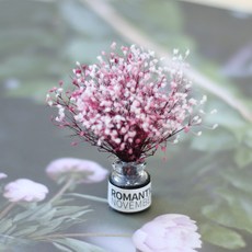 ROMANTIC NOVEMBER 保存的迷你霧磁, 兩色紅