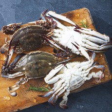 바다미식회 신진도 산지직송 산채로 포장한 가을 햇꽃게 (냉장), 1kg(3~5미), 1개