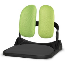 바른자세 듀얼폴더 접이식 메쉬 좌식의자 DF-520, 블랙(방석), 그린(등받이)