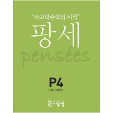 팡세 P-4 카운팅, 씨투엠에듀