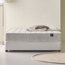 웰퍼니쳐 허리엔 이즈코어 스프링 매트리스 방문설치, 22cm, 하드