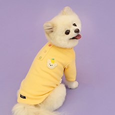 이츠독 반려동물 웜업 프렌즈 티셔츠, 옐로우, 1개