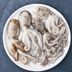 피시원 국내산 자연산 생물주꾸미 (냉장), 500g(3~8미), 1박스