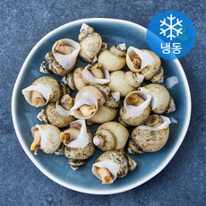 송도씨 국내산 백골뱅이 (냉동), 1개, 400g