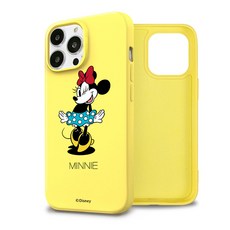 미니디즈니캐슬케이스