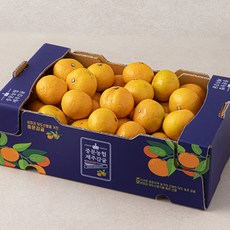 중문농협 황금빛 당도선별 11brix 감귤, 3kg(로열과), 1박스