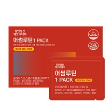 루틴