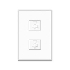 Ti2 통신 콘센트 RJ45 2구 무광 화이트 스노우, 1개